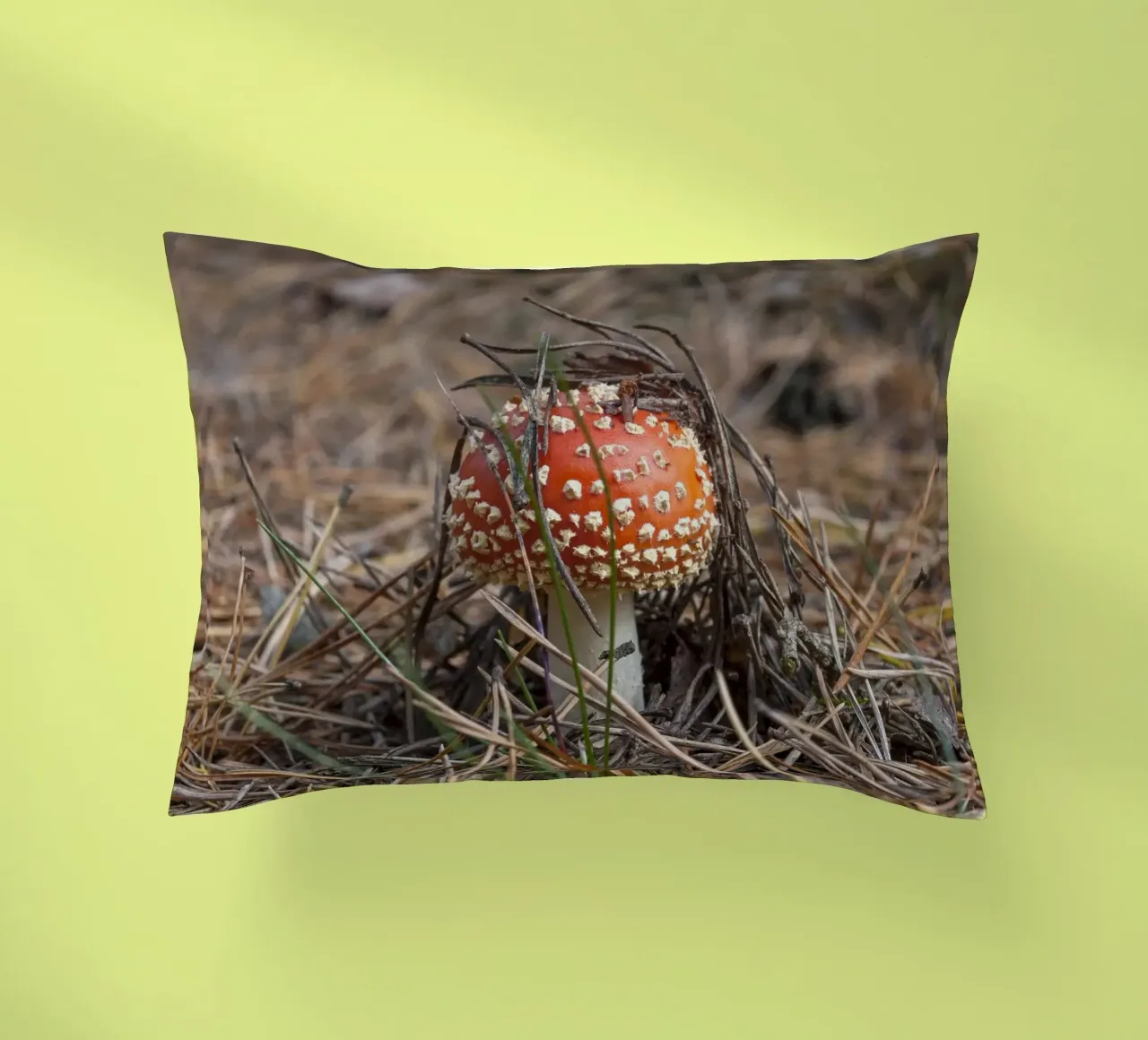 Sgabello per rospi Peek-a-Boo cuscino da Curious Collections by Marielle Leenders
