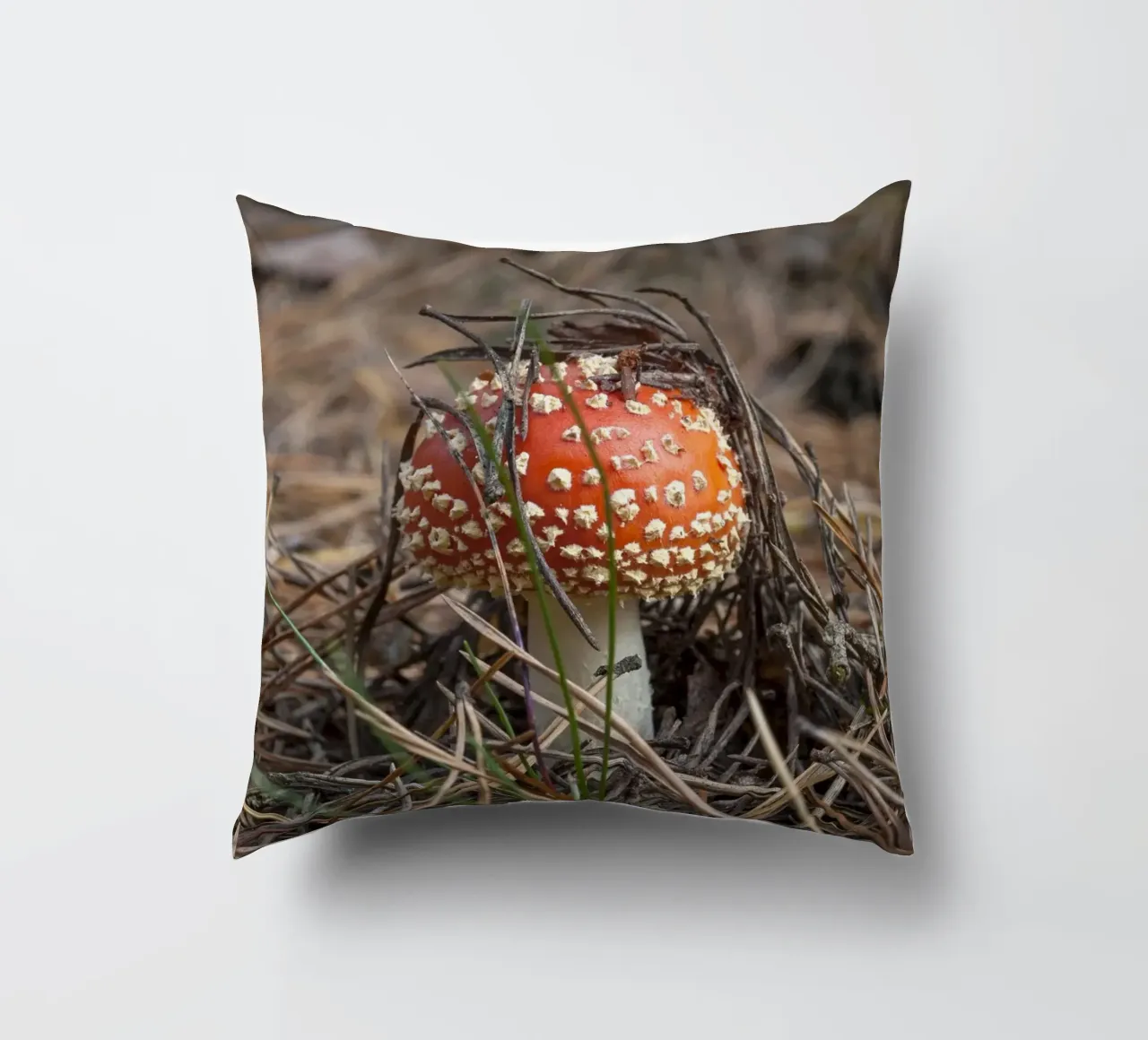Sgabello per rospi Peek-a-Boo cuscino da Curious Collections by Marielle Leenders
