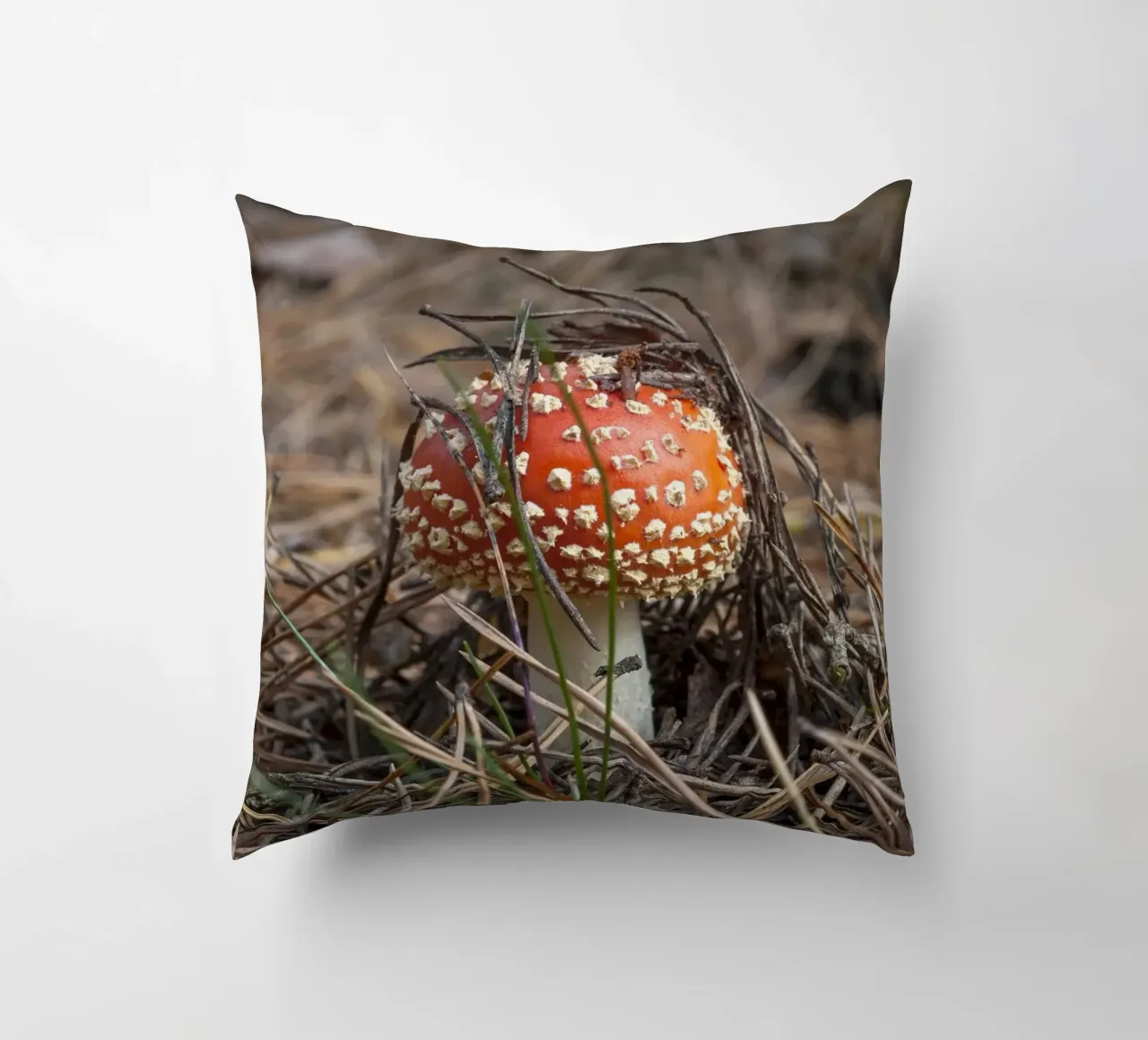 Sgabello per rospi Peek-a-Boo cuscino da Curious Collections by Marielle Leenders