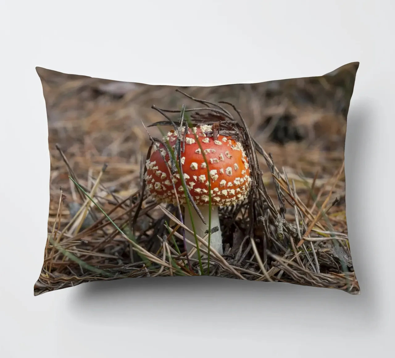 Sgabello per rospi Peek-a-Boo cuscino da Curious Collections by Marielle Leenders