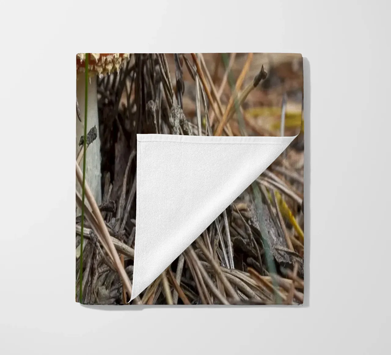 Sgabello per rospi Peek-a-Boo telo mare da Curious Collections by Marielle Leenders
