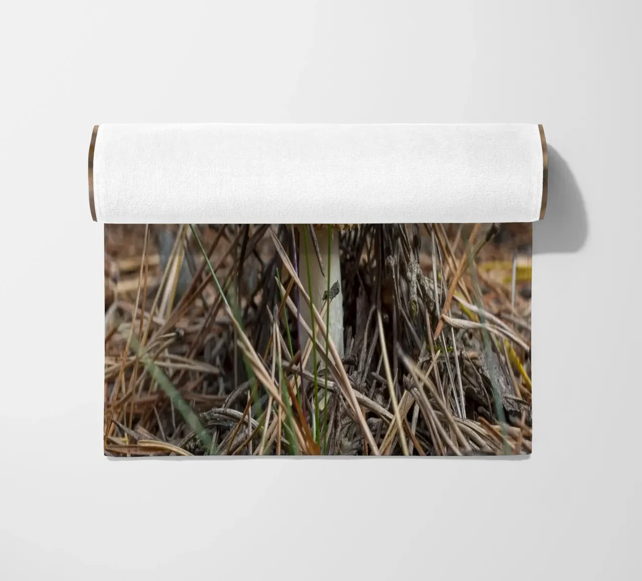Sgabello per rospi Peek-a-Boo telo mare da Curious Collections by Marielle Leenders