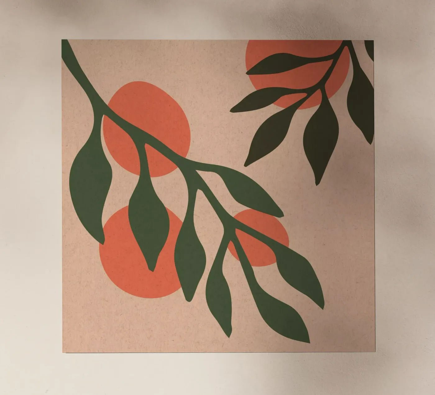 Arance pellicola backlit da Kim Hubball Studio