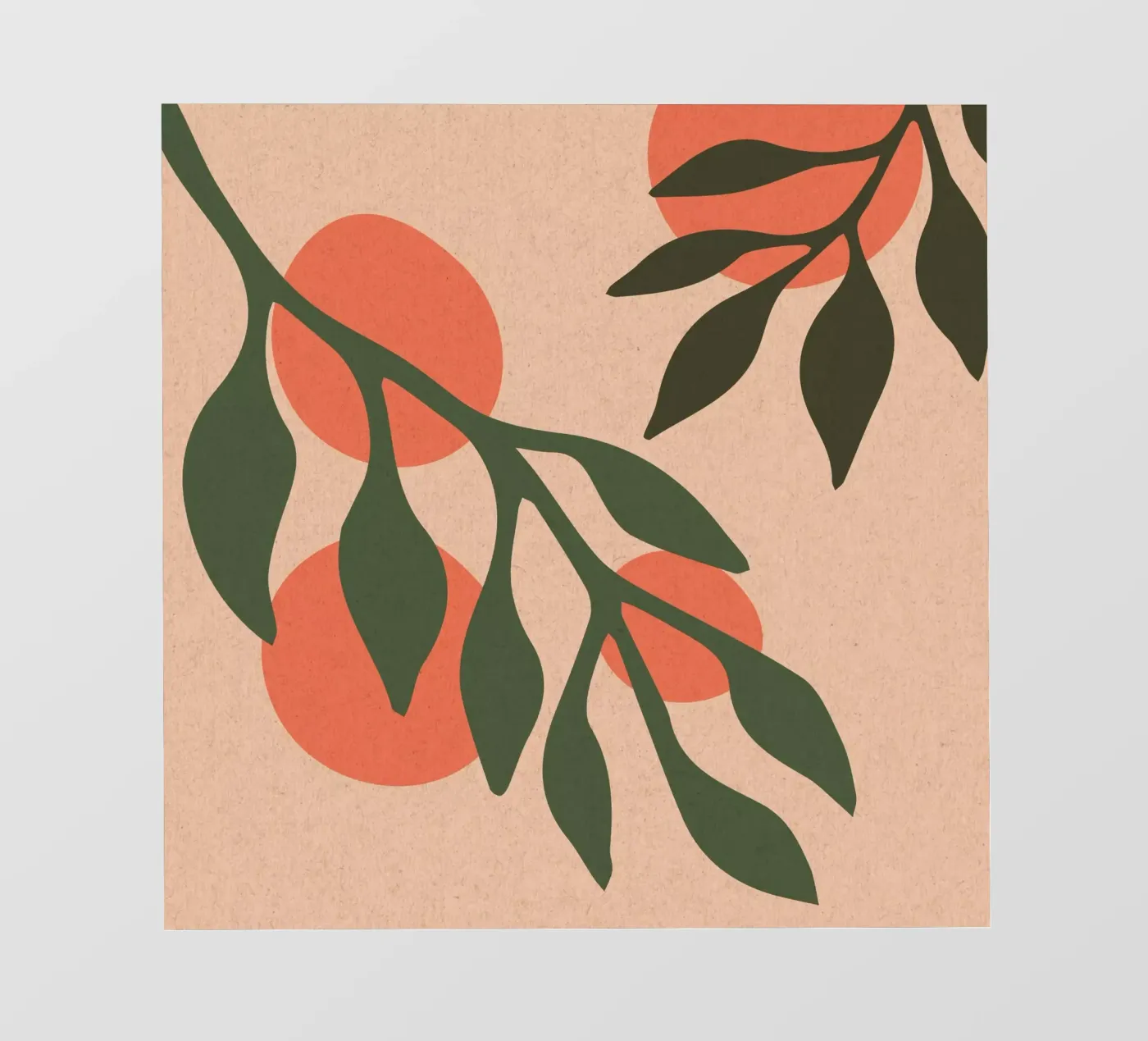 Arance pellicola backlit da Kim Hubball Studio