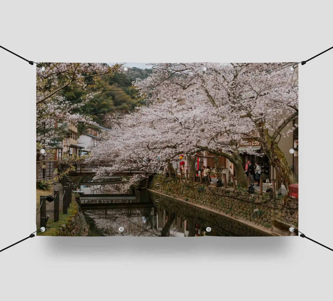 Fiume di ciliegi in fiore - Kinosaki Onsen, Giappone telo in pvc da Marcel Bisig