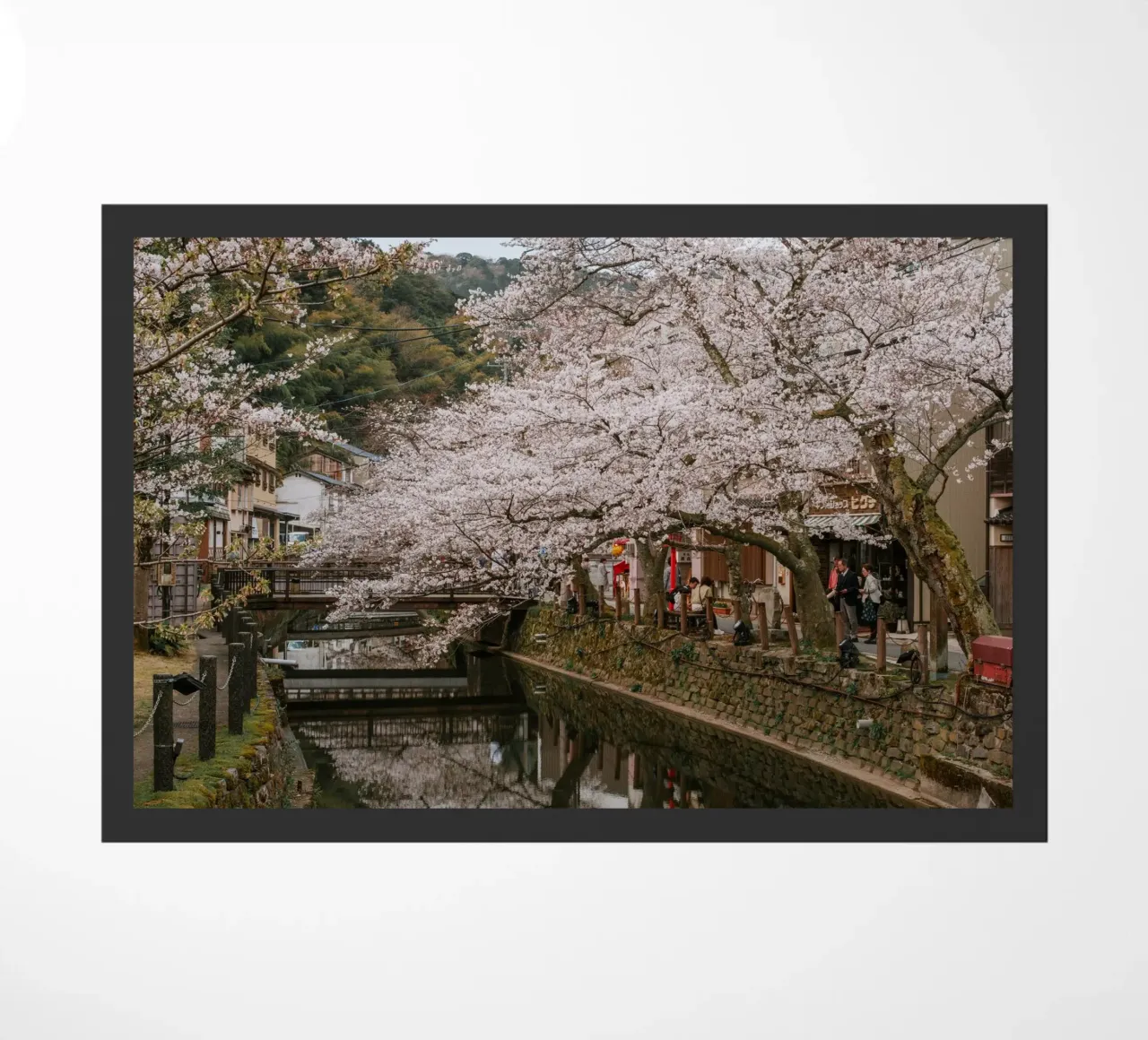 Fiume di ciliegi in fiore - Kinosaki Onsen, Giappone zerbino da Marcel Bisig