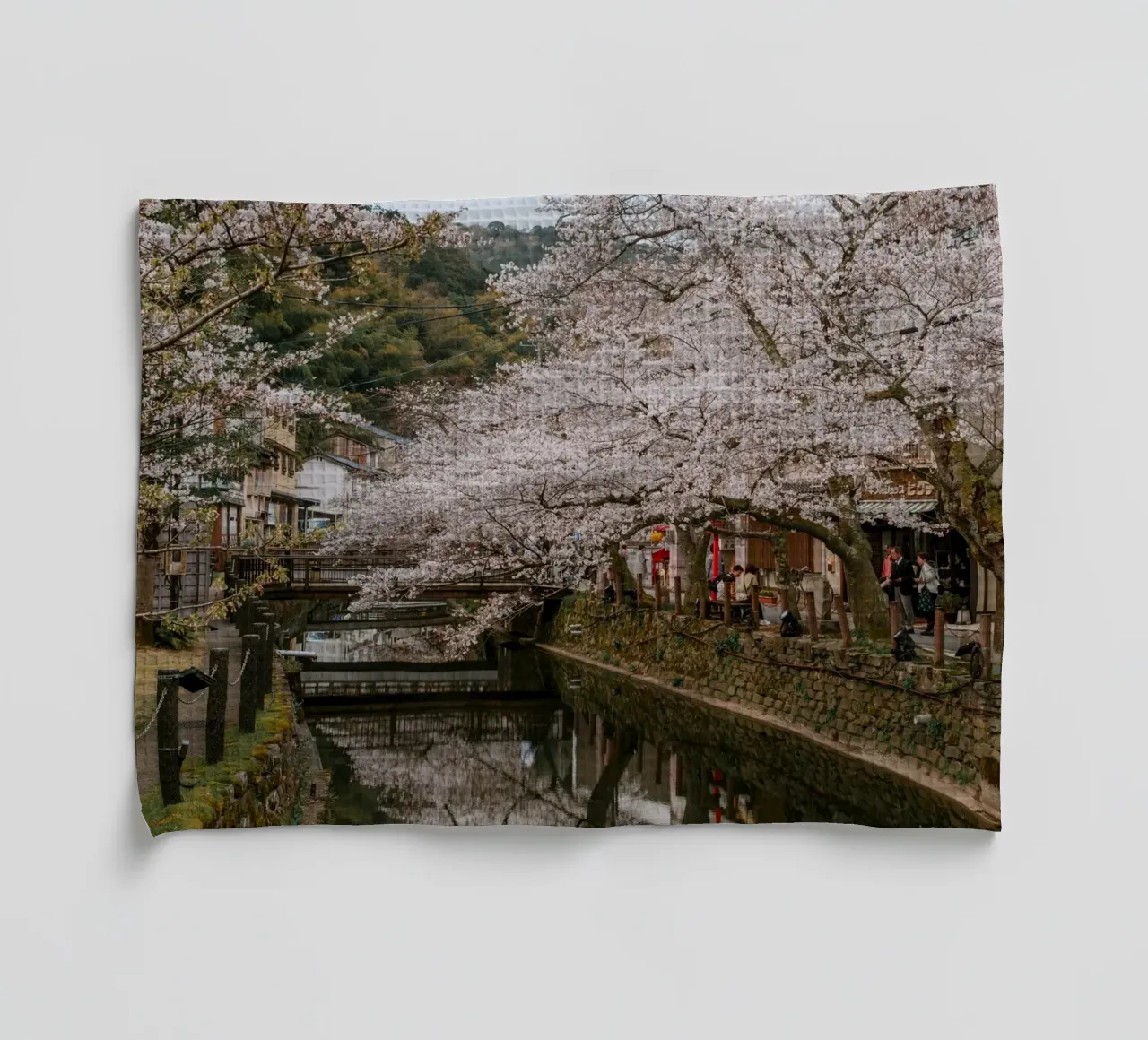Fiume di ciliegi in fiore - Kinosaki Onsen, Giappone canovaccio da cucina da Marcel Bisig