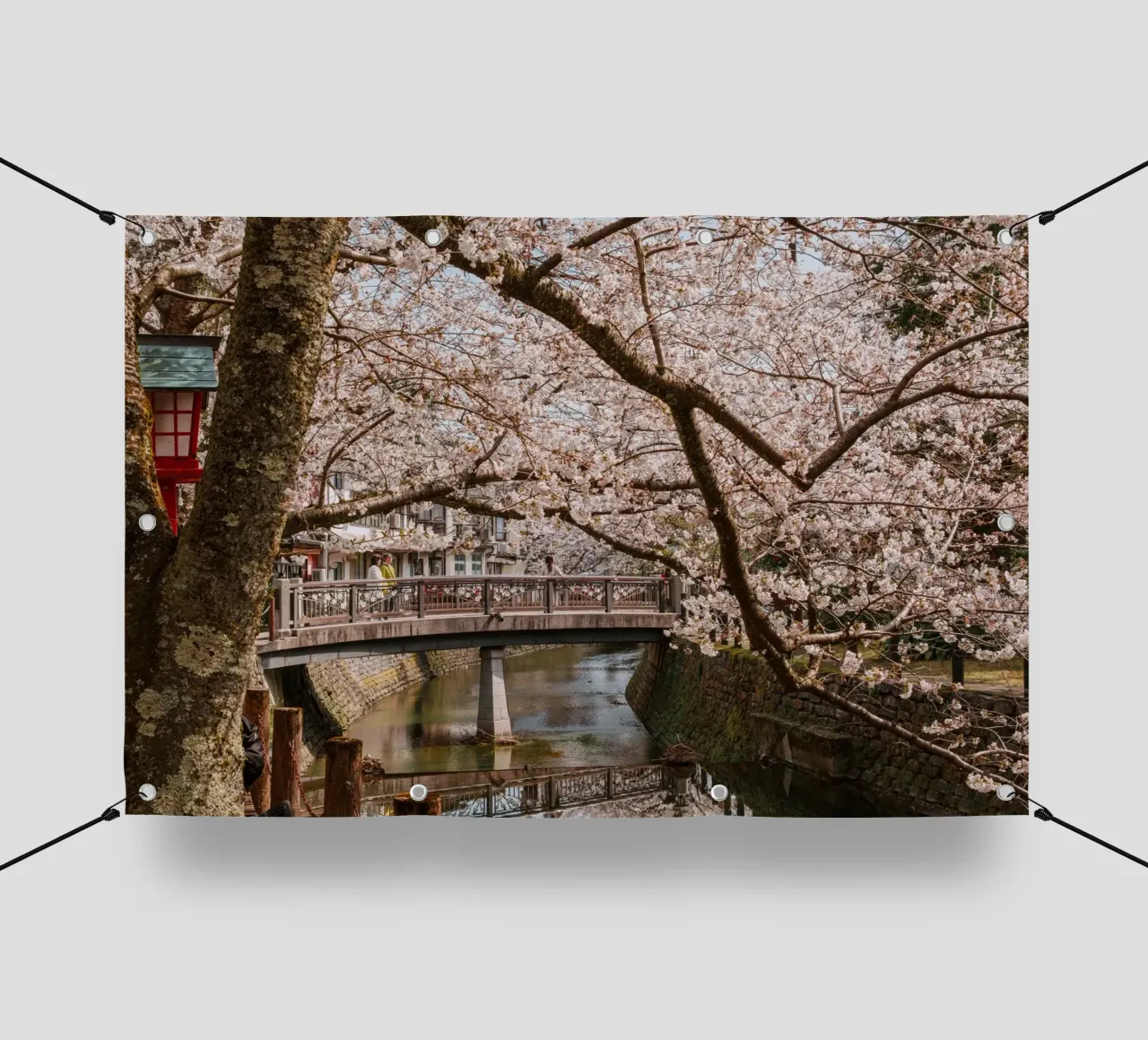 Fiume di ciliegi in fiore - Kinosaki Onsen, Giappone telo in pvc da Marcel Bisig