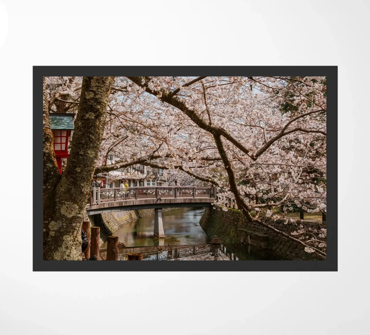 Fiume di ciliegi in fiore - Kinosaki Onsen, Giappone zerbino da Marcel Bisig