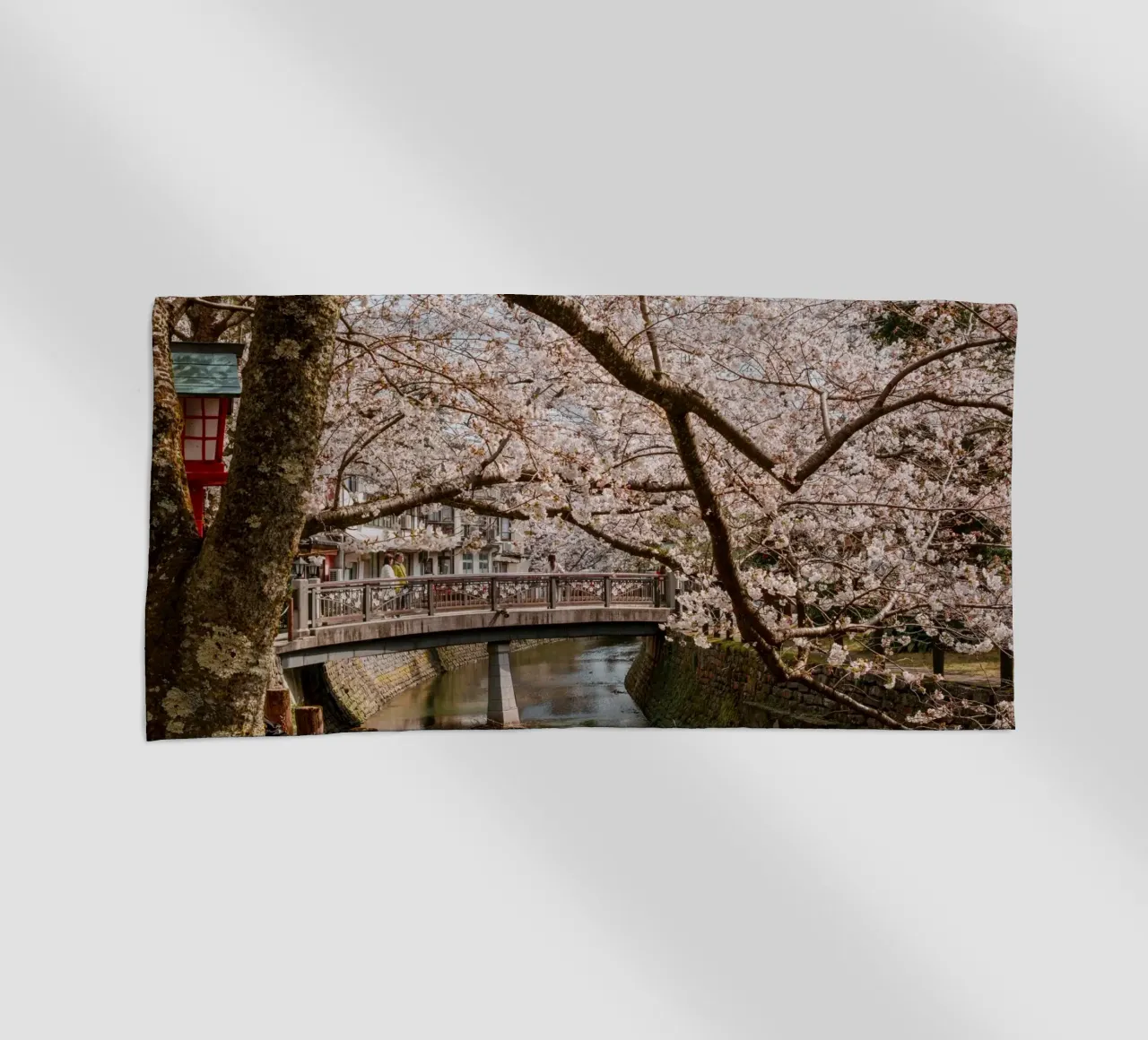 Fiume di ciliegi in fiore - Kinosaki Onsen, Giappone telo mare da Marcel Bisig