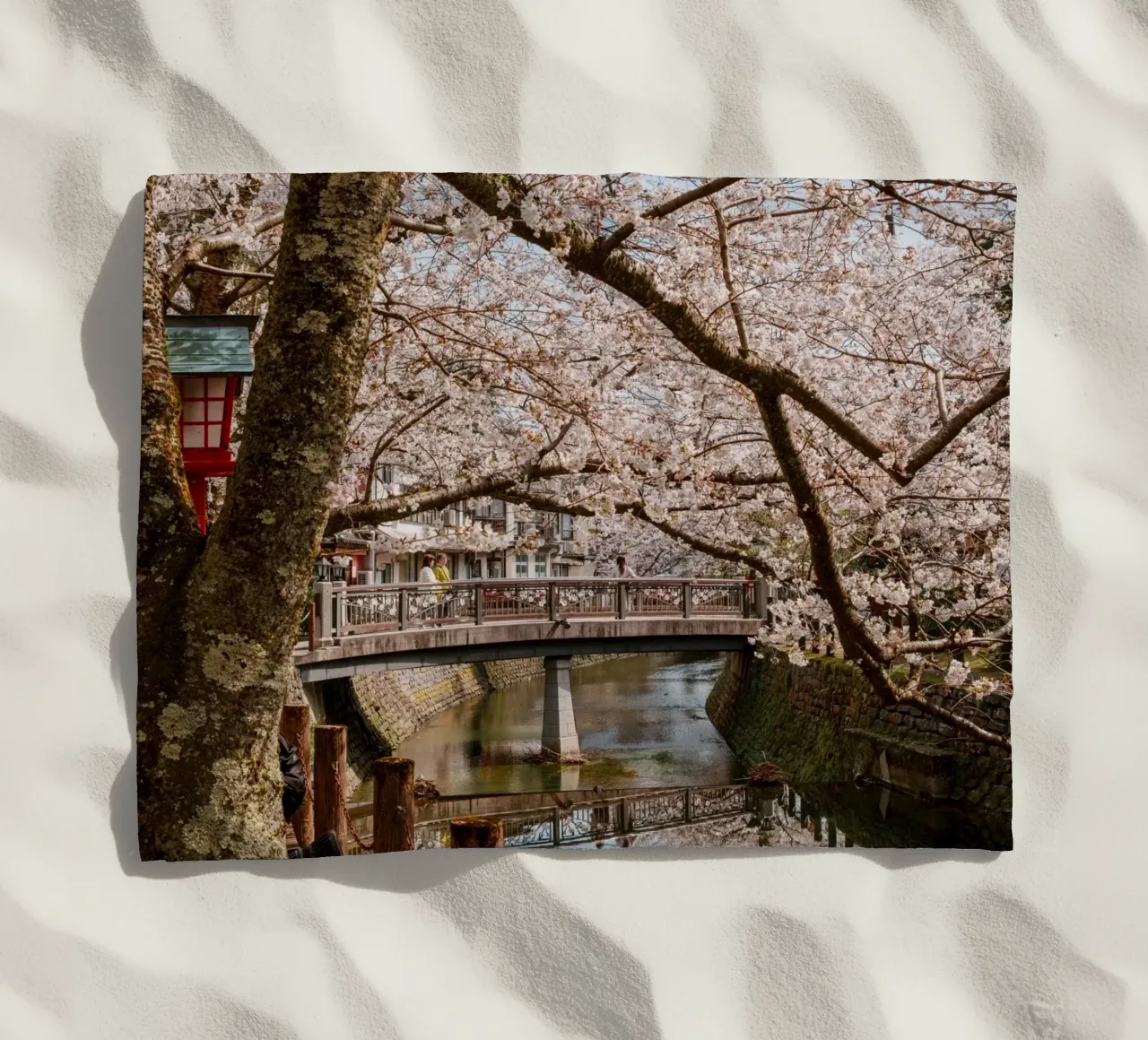 Fiume di ciliegi in fiore - Kinosaki Onsen, Giappone telo mare da Marcel Bisig
