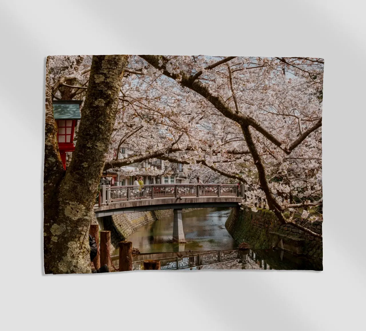 Fiume di ciliegi in fiore - Kinosaki Onsen, Giappone telo mare da Marcel Bisig