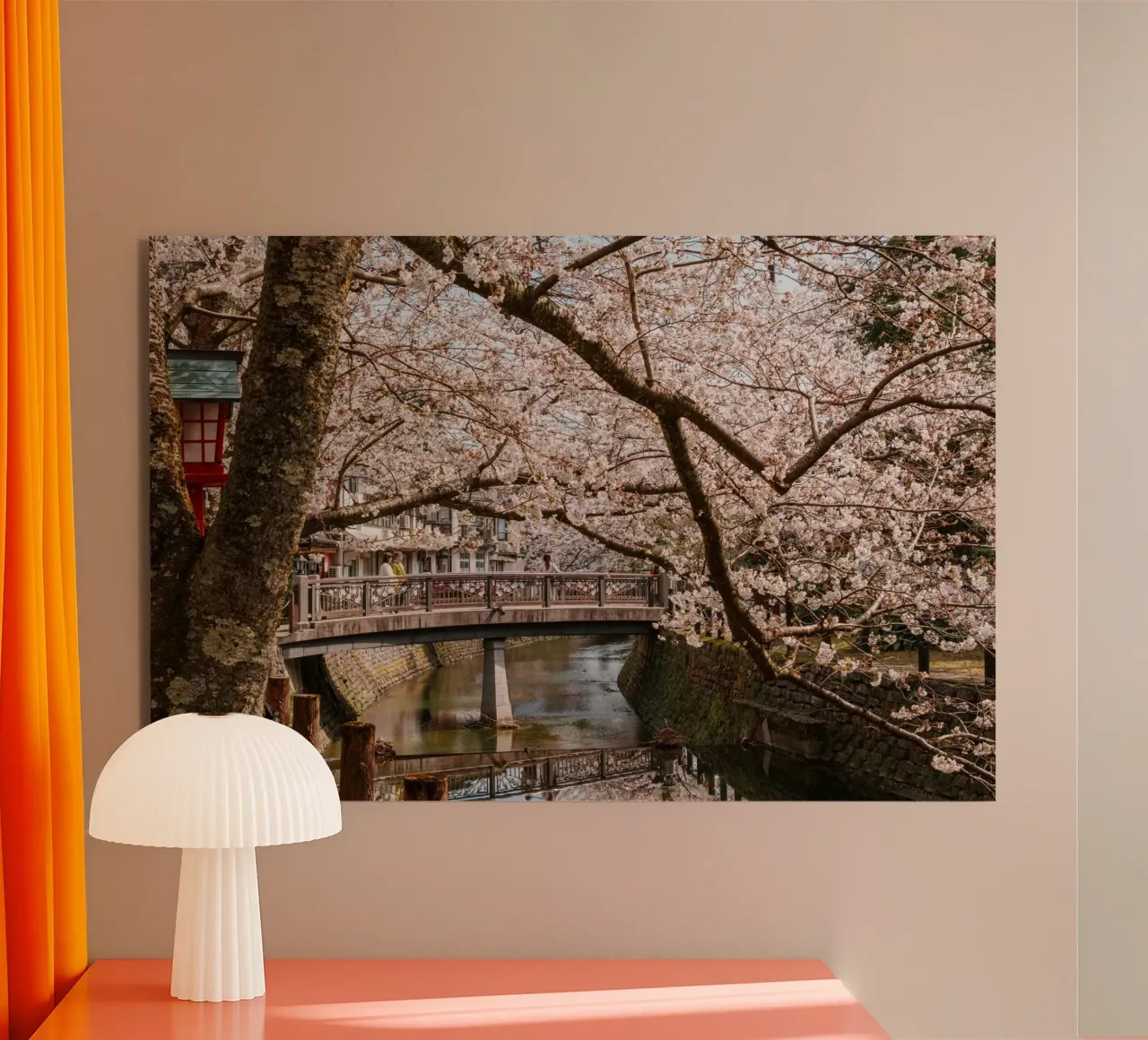 Fiume di ciliegi in fiore - Kinosaki Onsen, Giappone alluminio dibond da Marcel Bisig