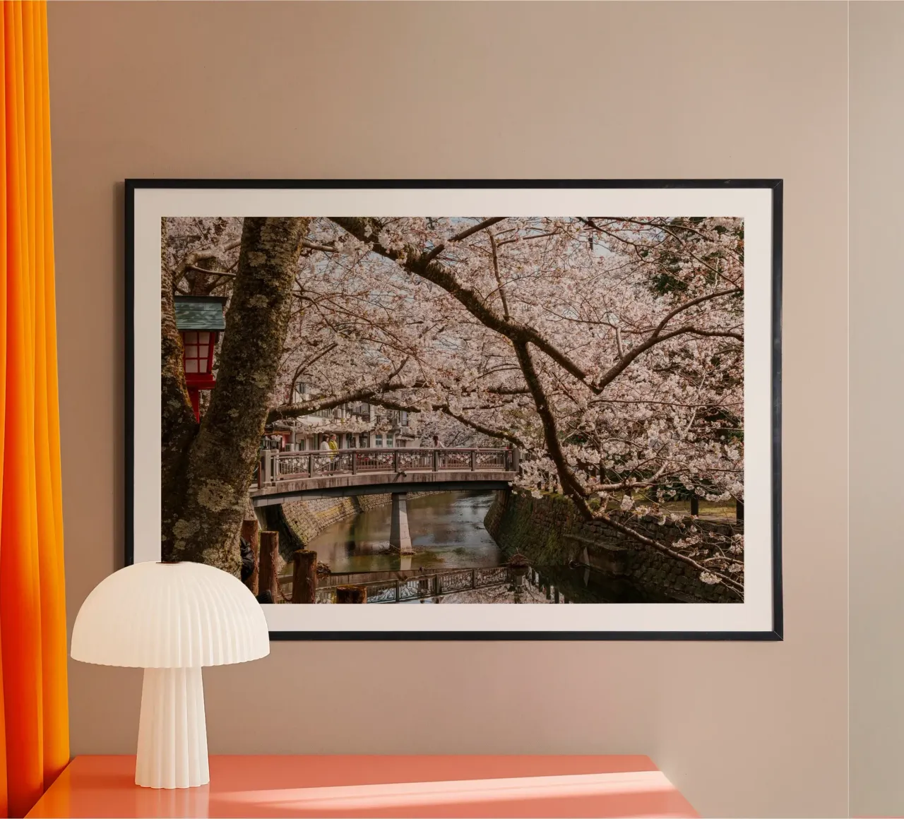Fiume di ciliegi in fiore - Kinosaki Onsen, Giappone carta hahnemühle da Marcel Bisig