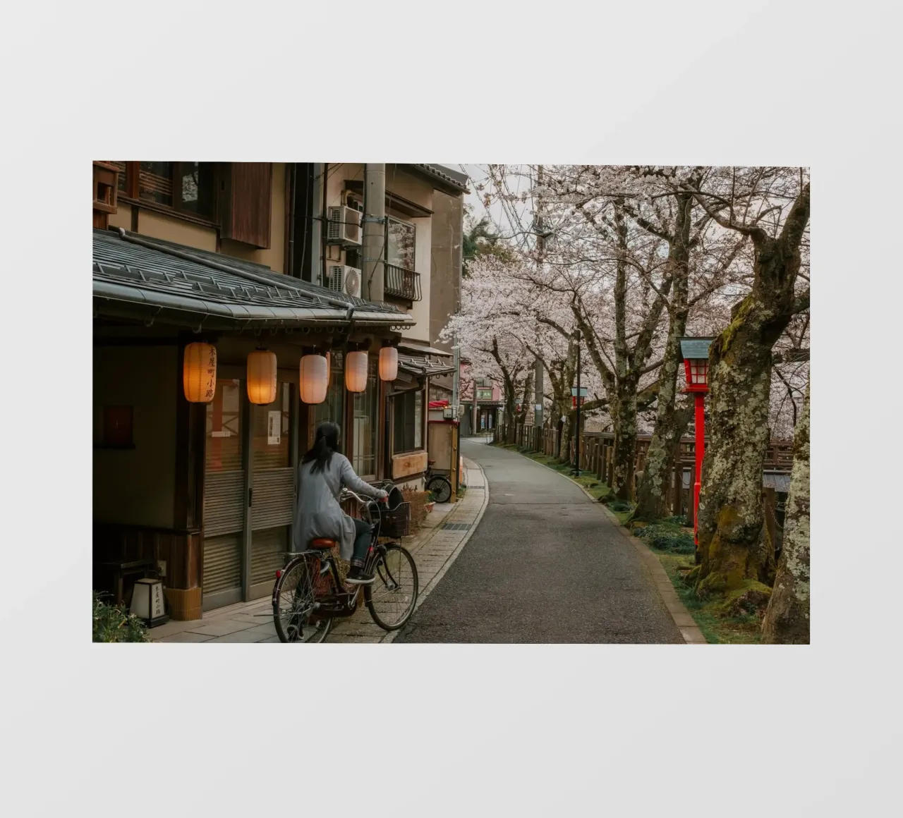 Kinosaki Onsen Fiori di ciliegio, Giappone telo in pvc da Marcel Bisig