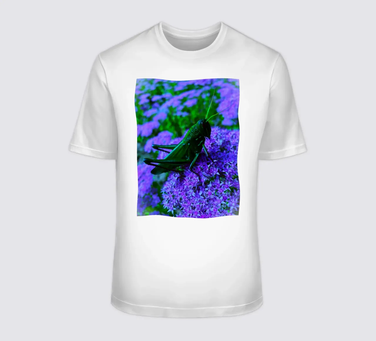 Cavalletta - piccola ma piena di vitalità t-shirt da Nature's Palette