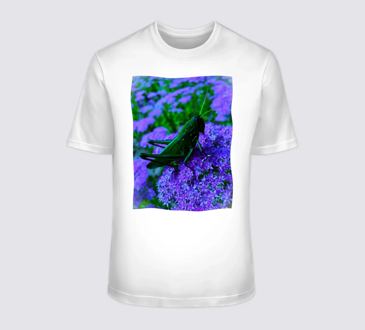 Grasshopper – small but full of vitality t-shirt by Nature's Palette