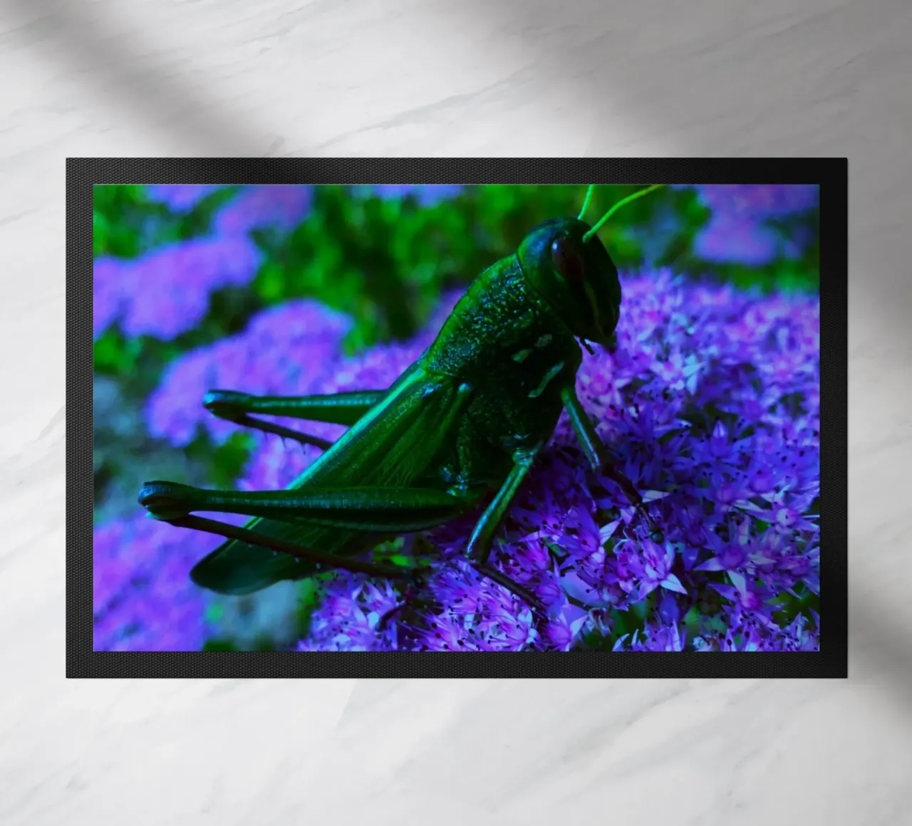 Grasshopper – small but full of vitality doormat by Nature's Palette