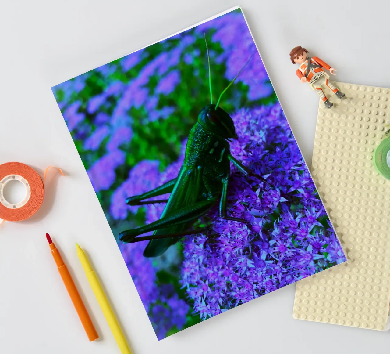 Grasshopper – small but full of vitality notebook by Nature's Palette