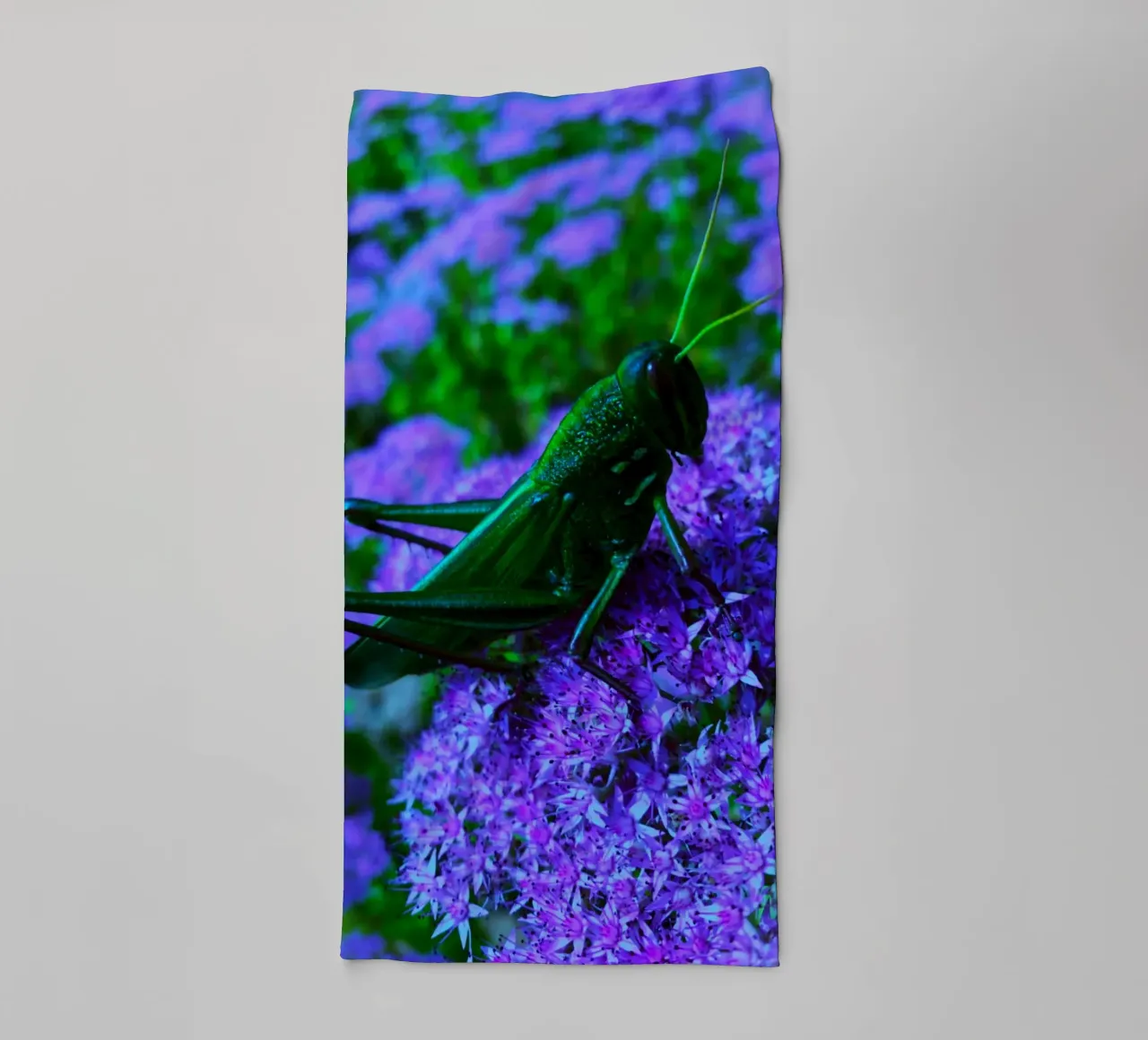 Grasshopper – small but full of vitality towel by Nature's Palette