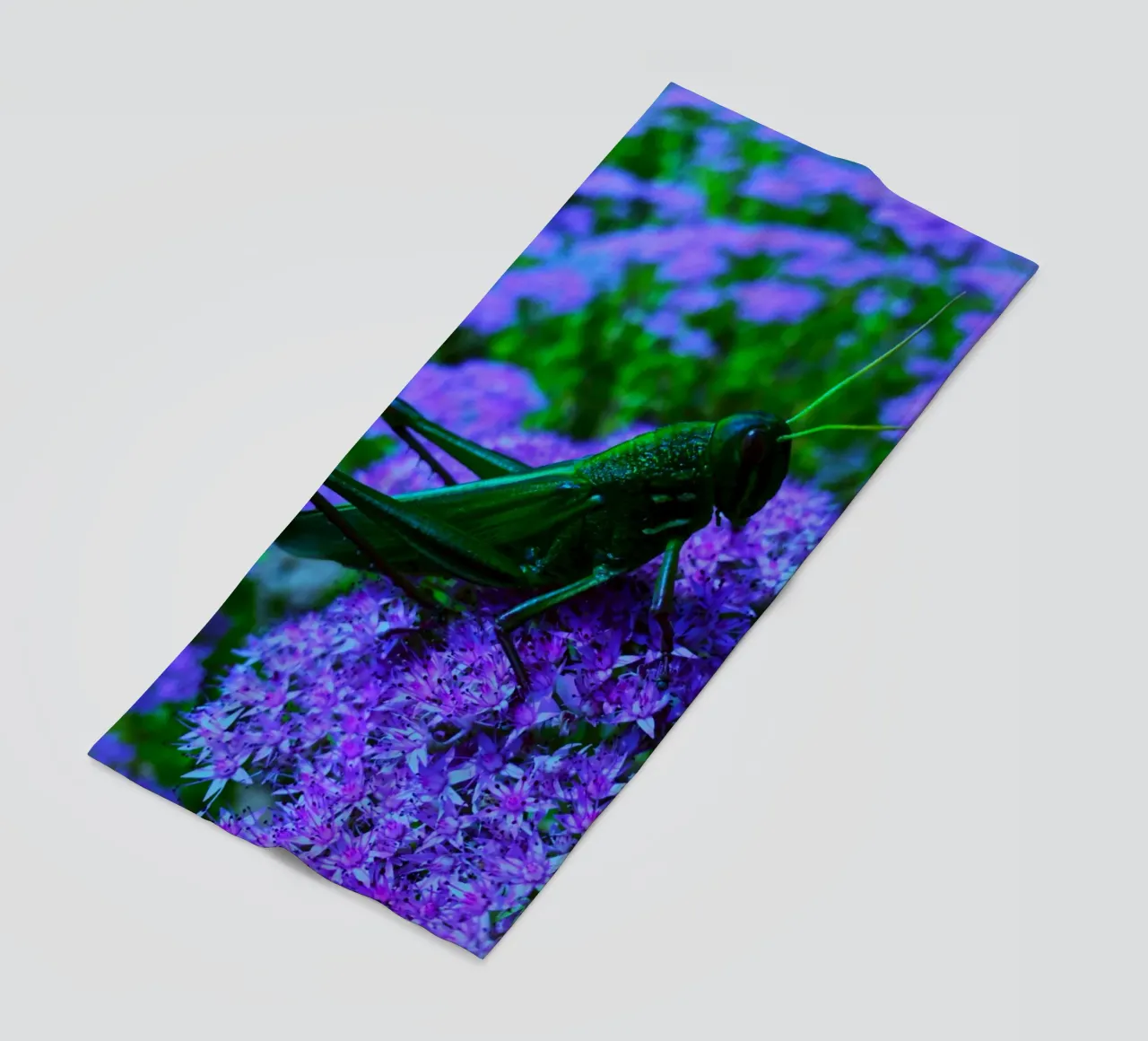 Grasshopper – small but full of vitality beach towel by Nature's Palette