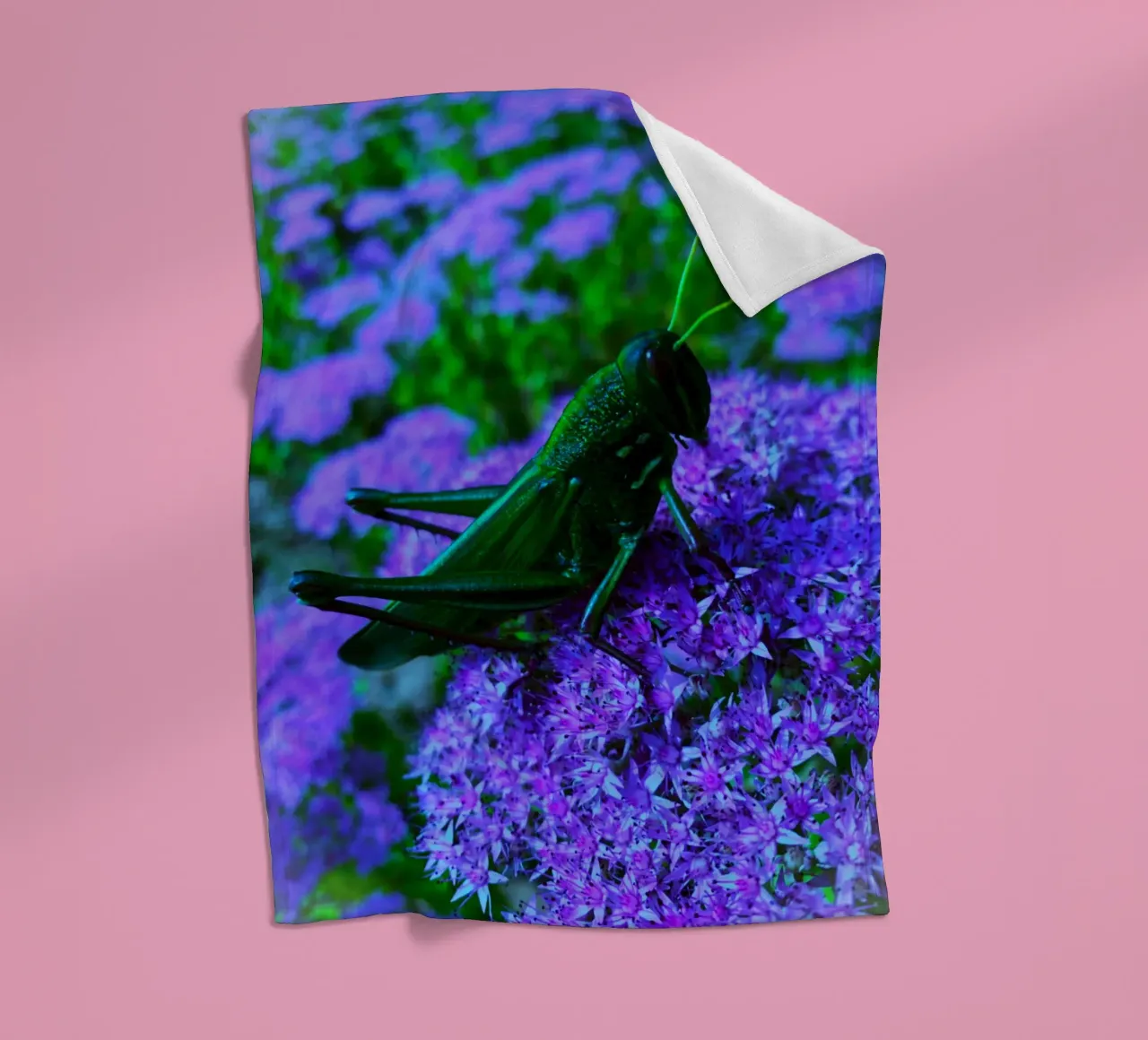 Grasshopper – small but full of vitality fleece blanket by Nature's Palette