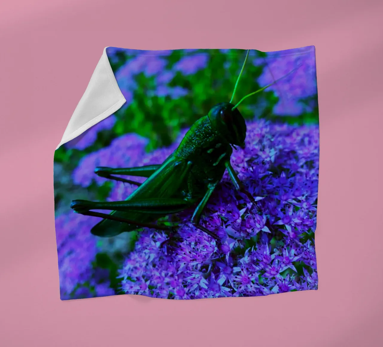 Grasshopper – small but full of vitality fleece blanket by Nature's Palette