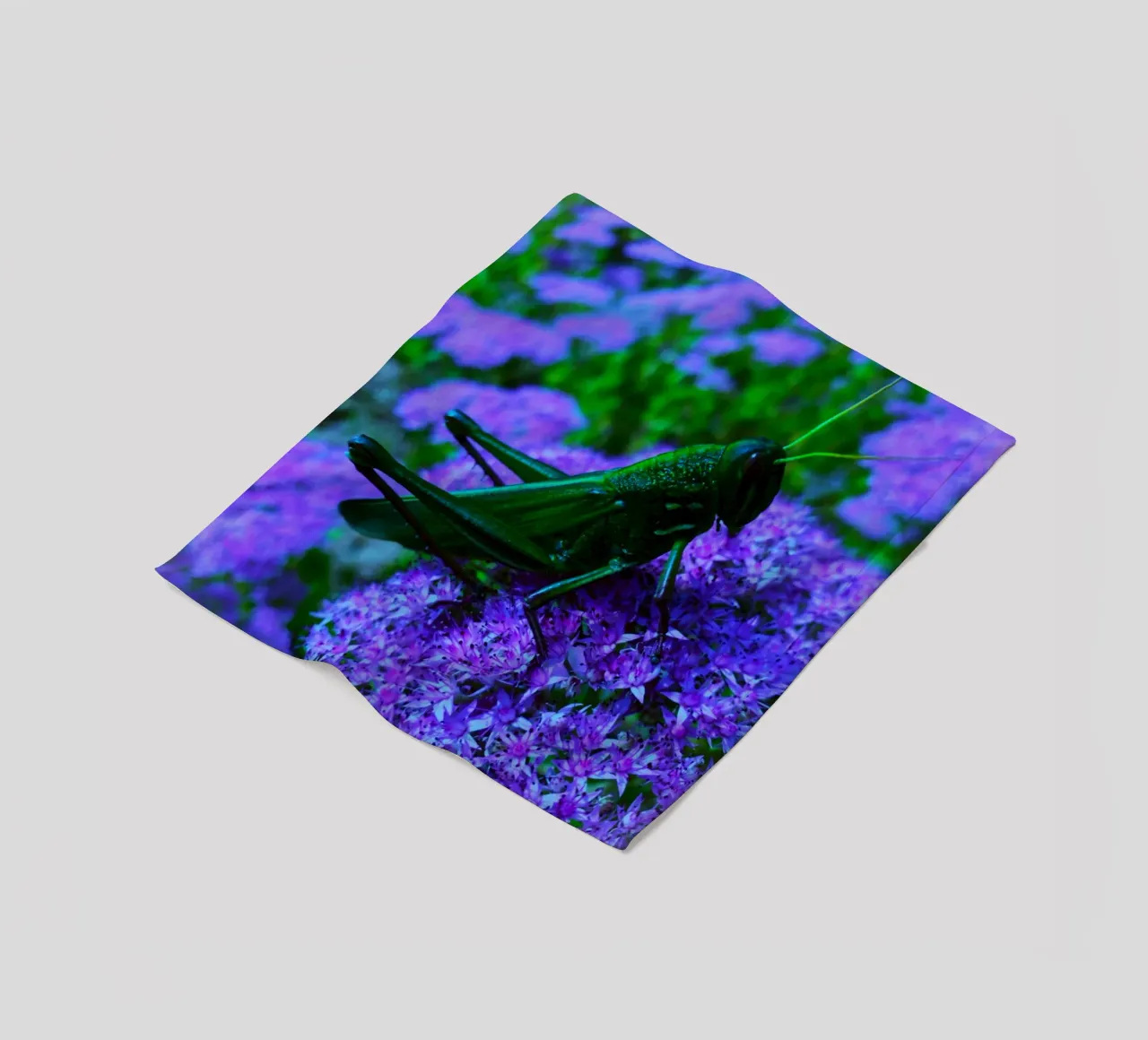 Grasshopper – small but full of vitality fleece blanket by Nature's Palette
