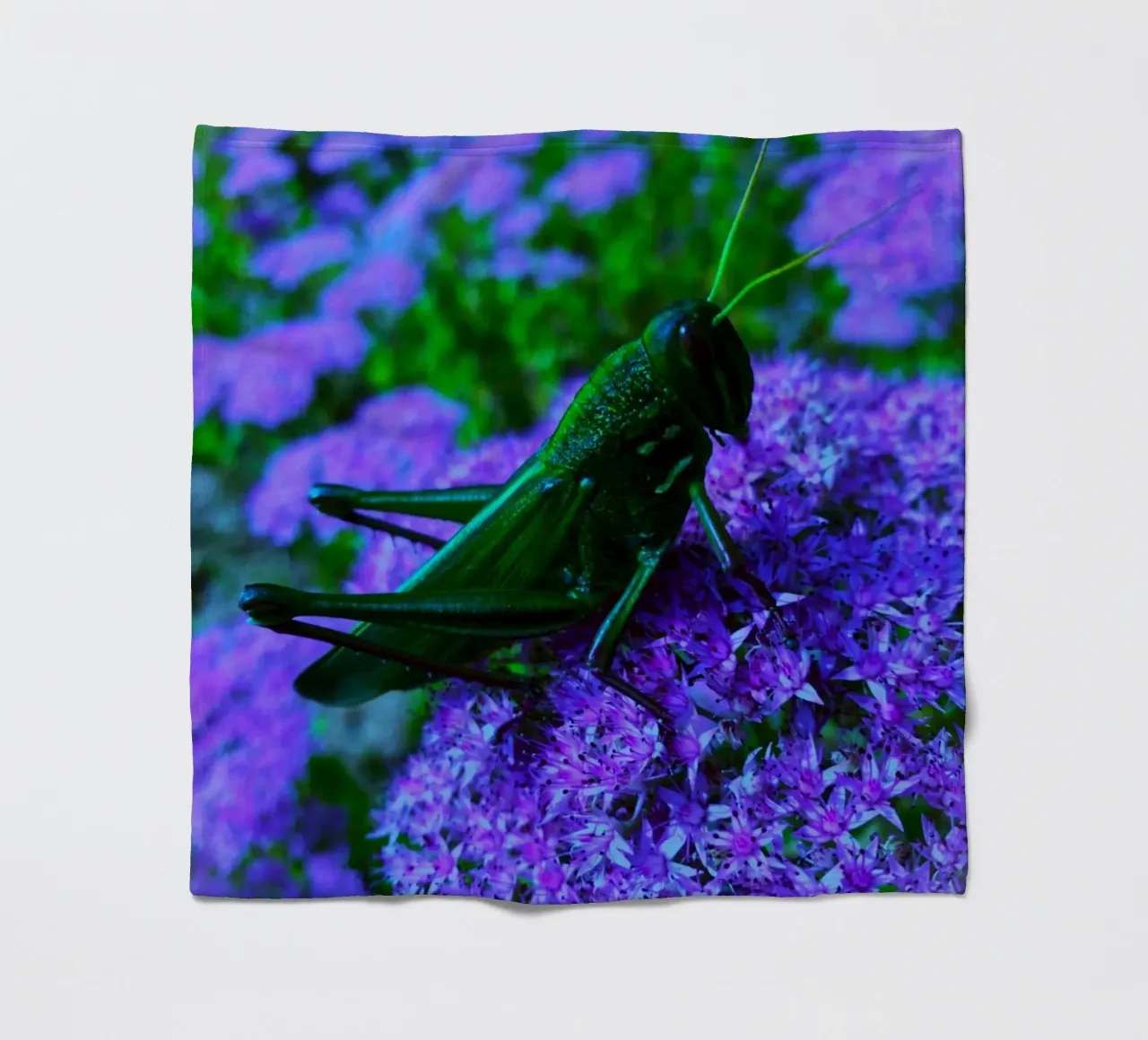 Grasshopper – small but full of vitality fleece blanket by Nature's Palette