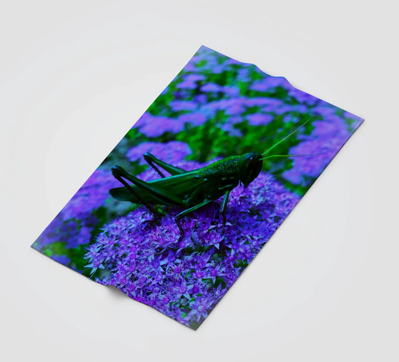 Grasshopper – small but full of vitality fleece blanket by Nature's Palette