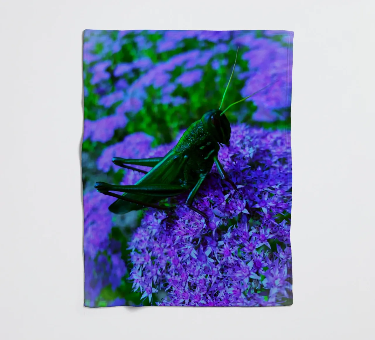 Grasshopper – small but full of vitality fleece blanket by Nature's Palette