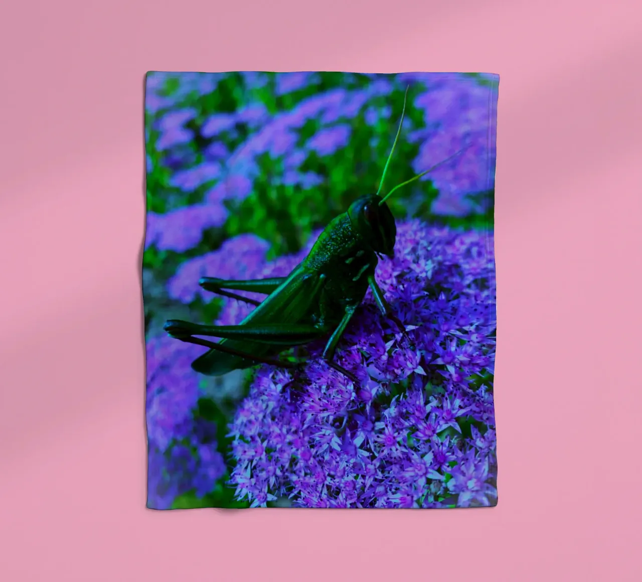 Grasshopper – small but full of vitality fleece blanket by Nature's Palette