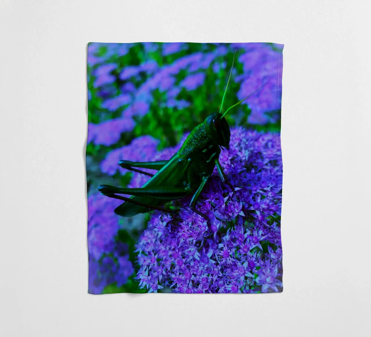 Grasshopper – small but full of vitality fleece blanket by Nature's Palette