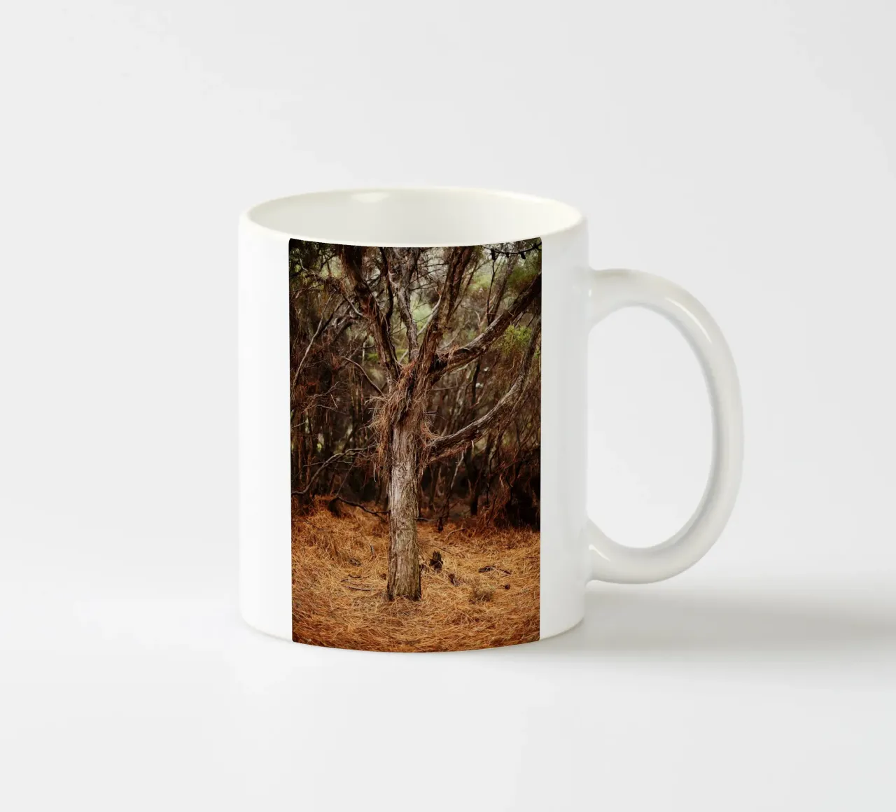 Albero a Rotorua, Nuova Zelanda tazza in ceramica da Simon Koy