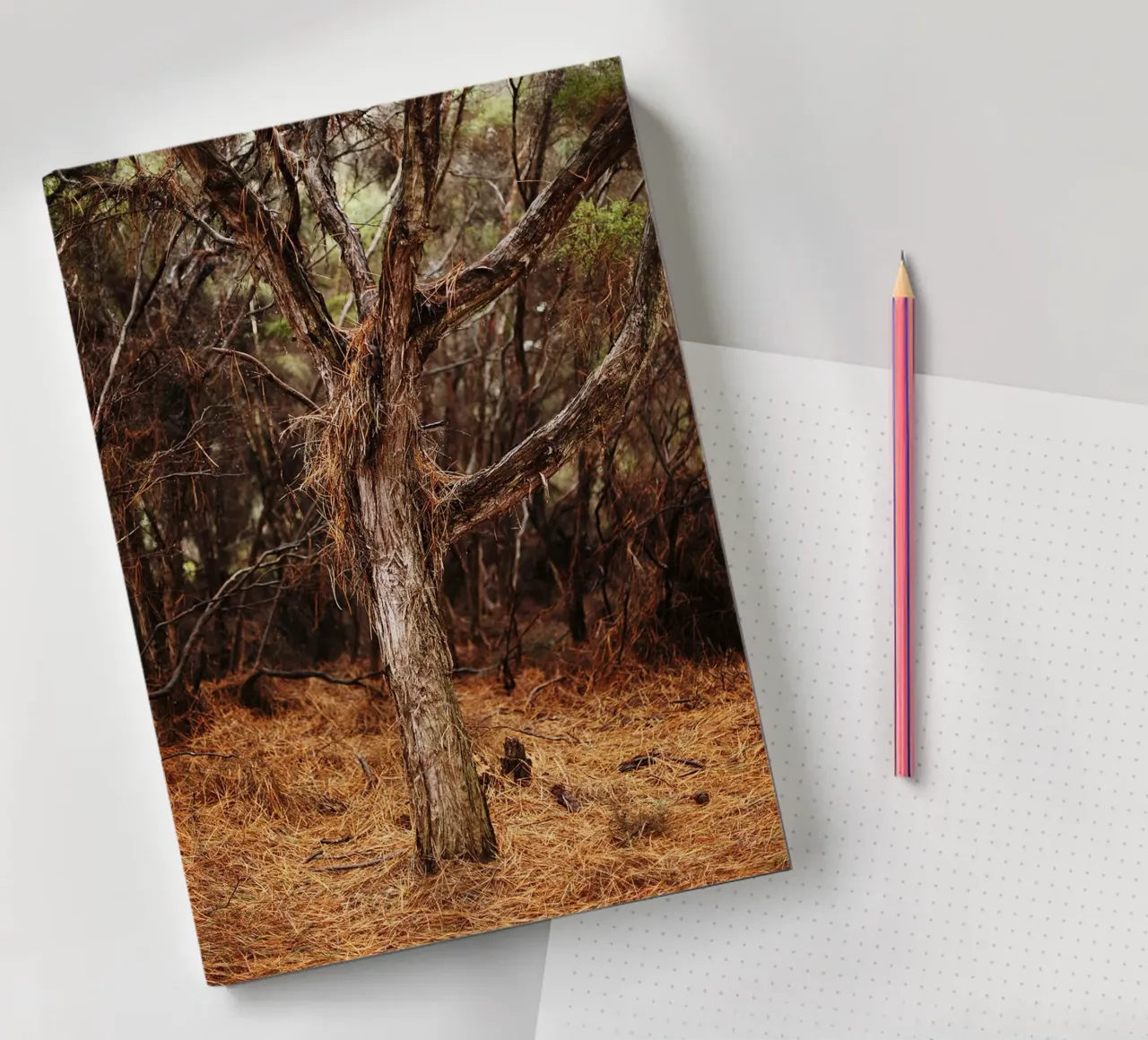 Tree in Rotorua, New Zealand notebook by Simon Koy