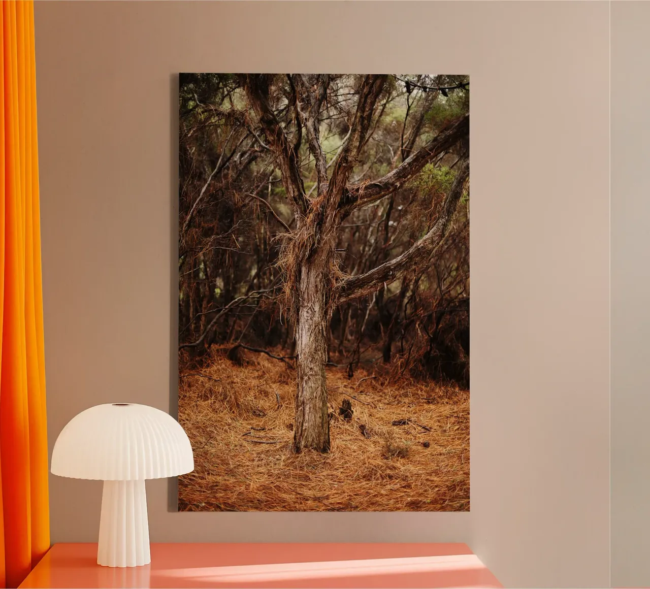 Tree in Rotorua, New Zealand canvas by Simon Koy