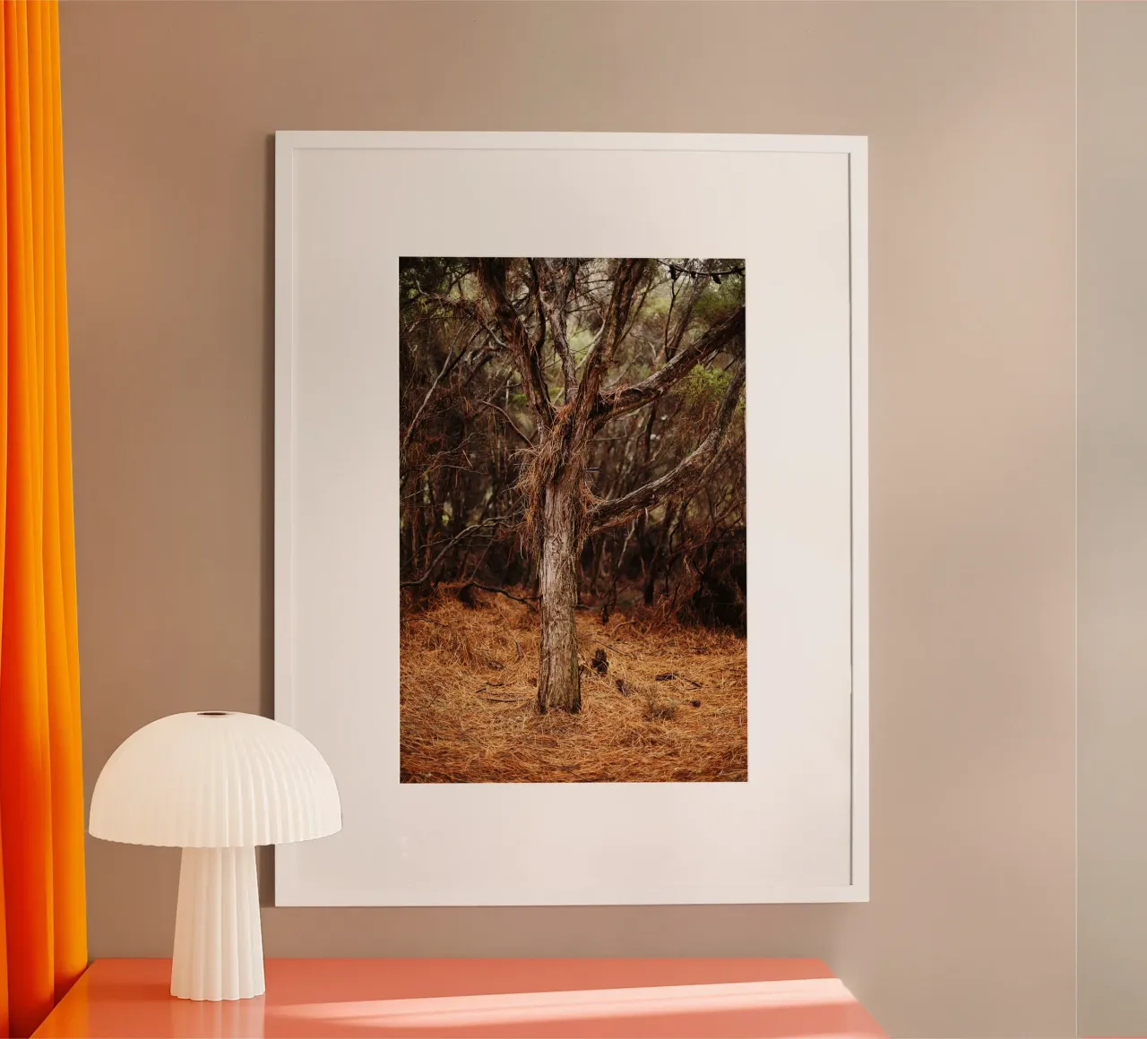 Albero a Rotorua, Nuova Zelanda carta hahnemühle da fotokunst