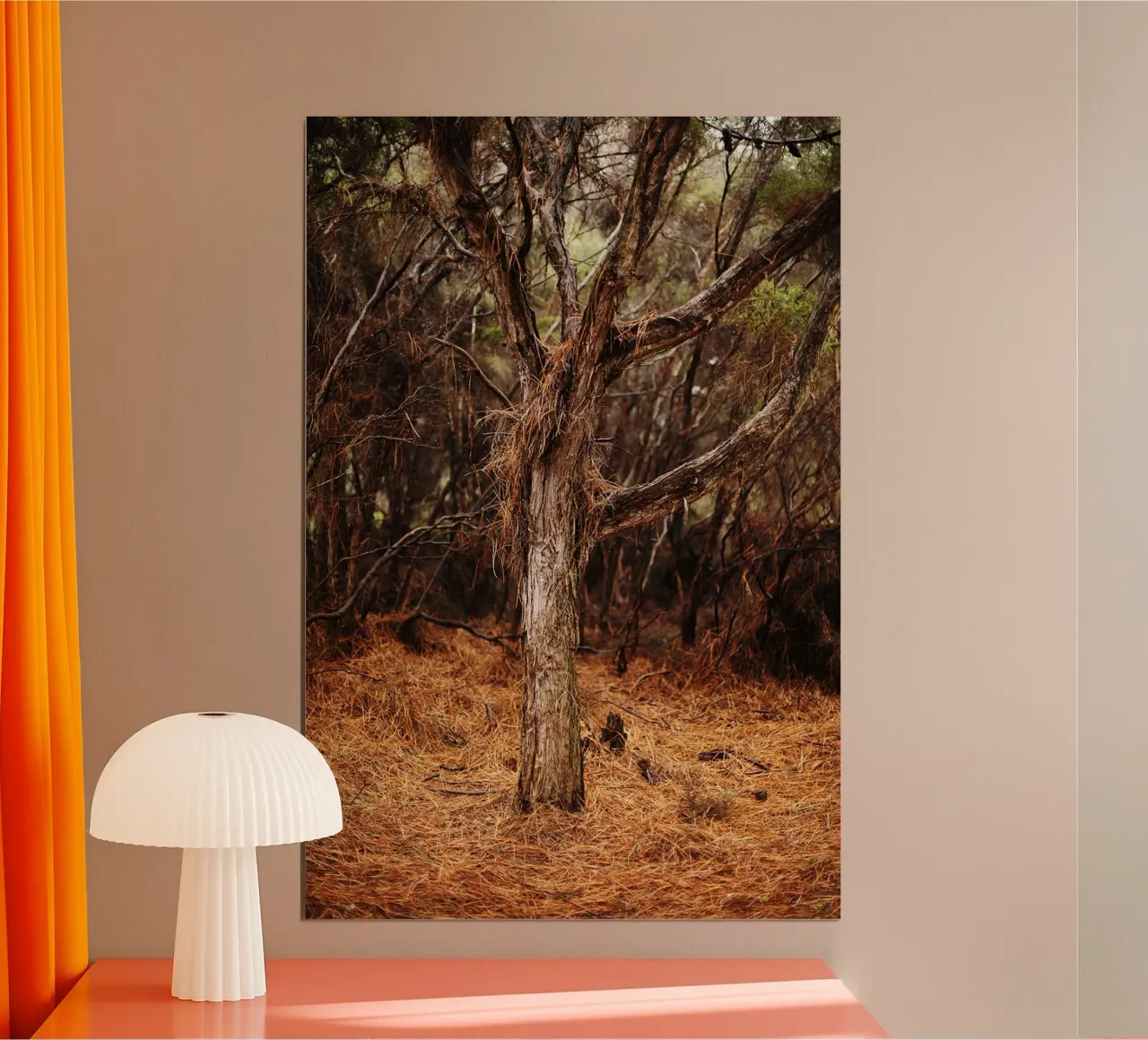 Albero a Rotorua, Nuova Zelanda carta hahnemühle da fotokunst