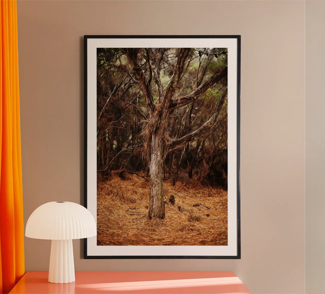 Albero a Rotorua, Nuova Zelanda carta hahnemühle da fotokunst