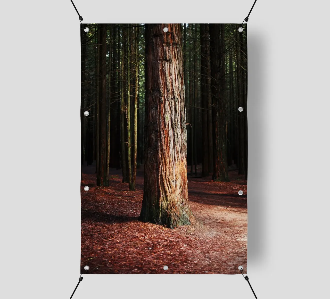 Albero a Rotorua, Nuova Zelanda telo in pvc da Simon Koy
