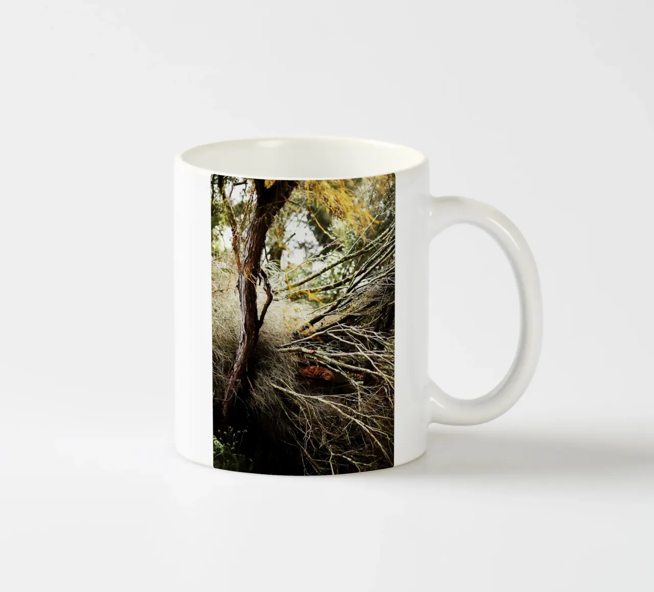 Albero a Rotorua, Nuova Zelanda tazza in ceramica da Simon Koy