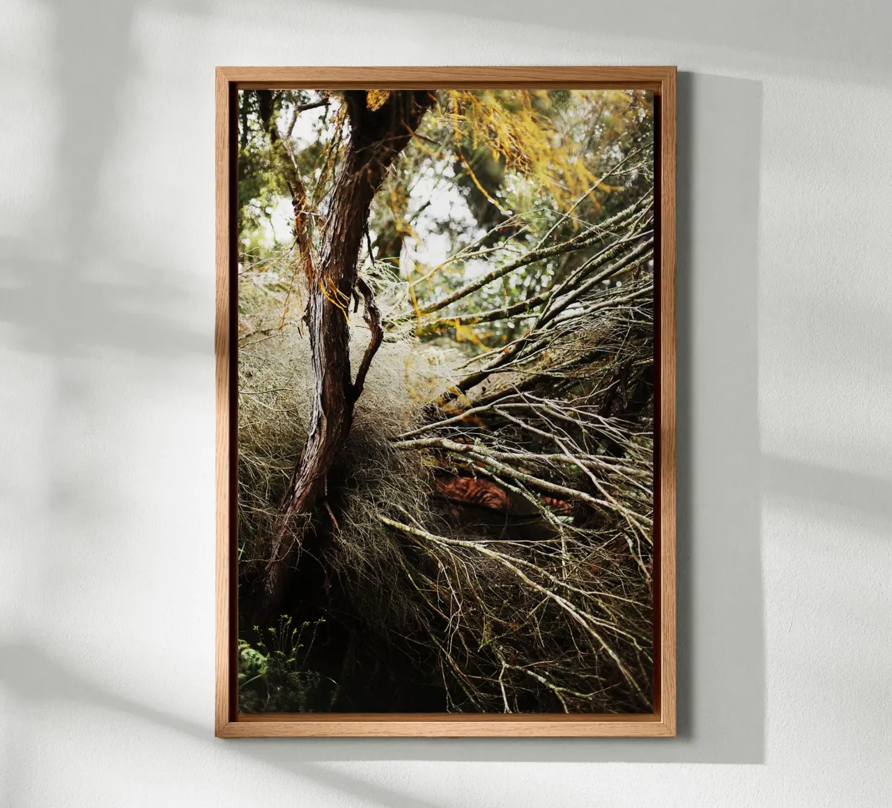 Tree in Rotorua, New Zealand canvas by fotokunst