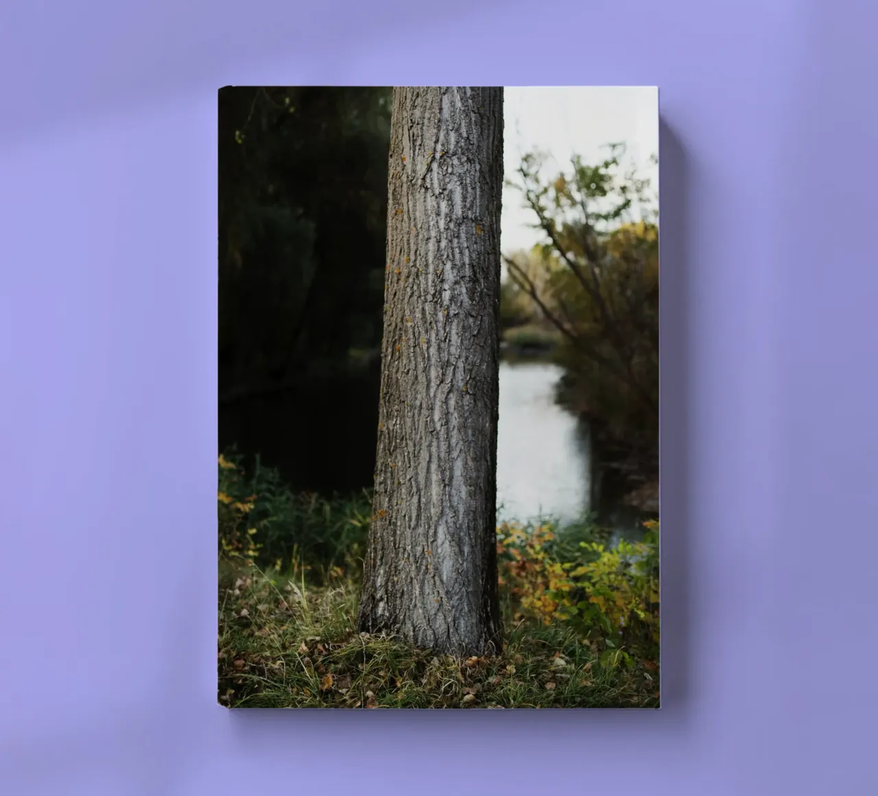Tree detail in Slovakia notebook by Simon Koy