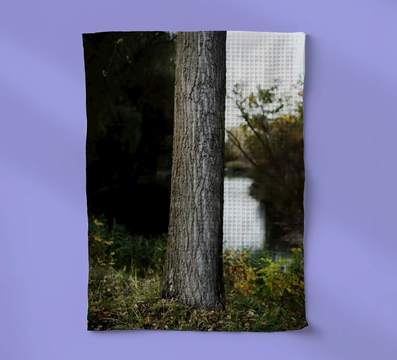 Détail d'un arbre en Slovaquie torchon de Simon Koy