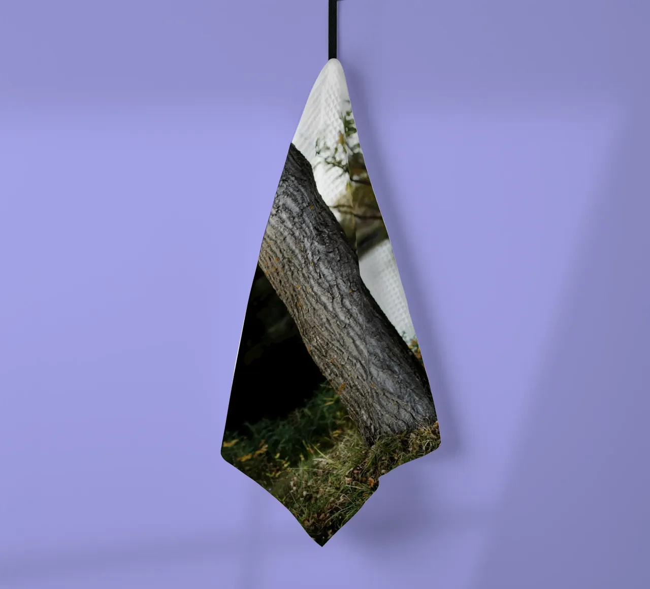Détail d'un arbre en Slovaquie torchon de Simon Koy