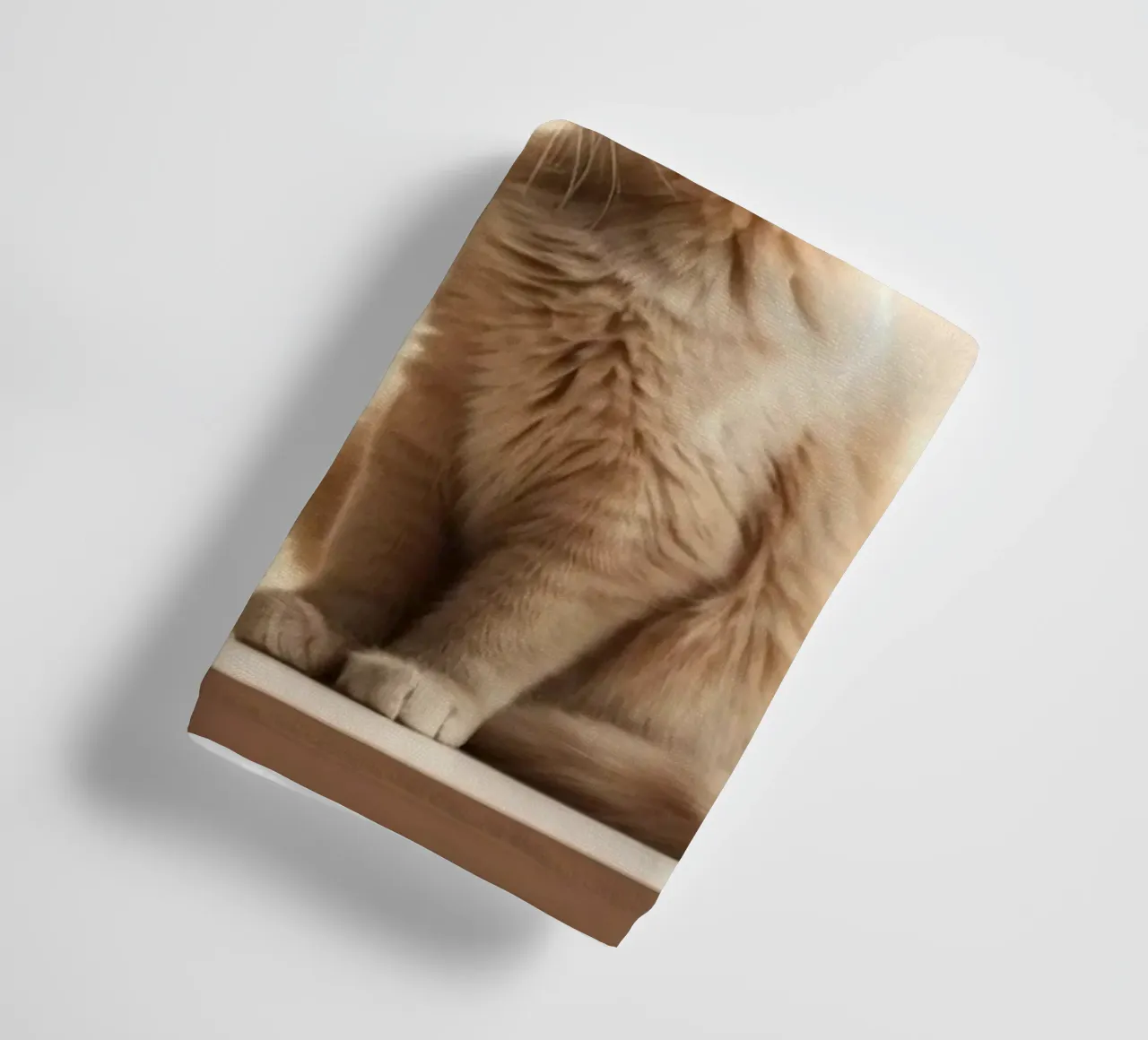 cat in shadow light asciugamano da bagno da Fost