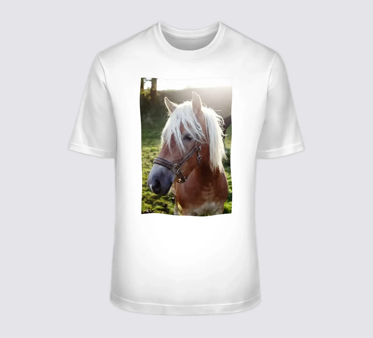 Amore per i cavalli, Baviera t-shirt da fotokunst