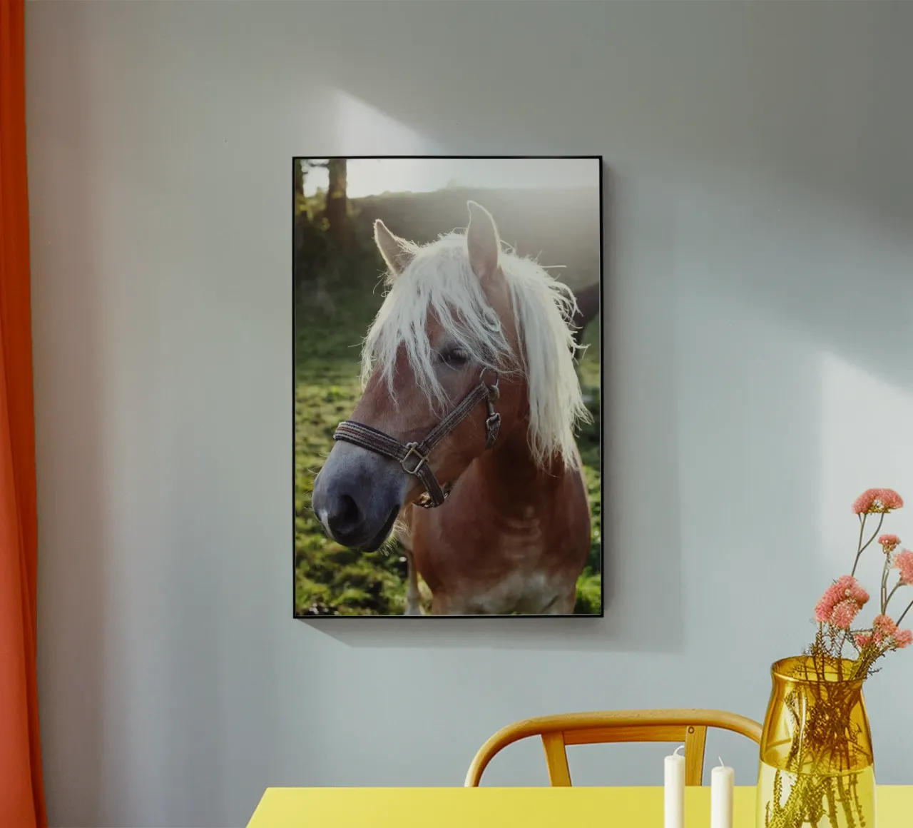 Cavalli d'amore, Baviera, Alta Baviera, Aying plexiglass da fotokunst