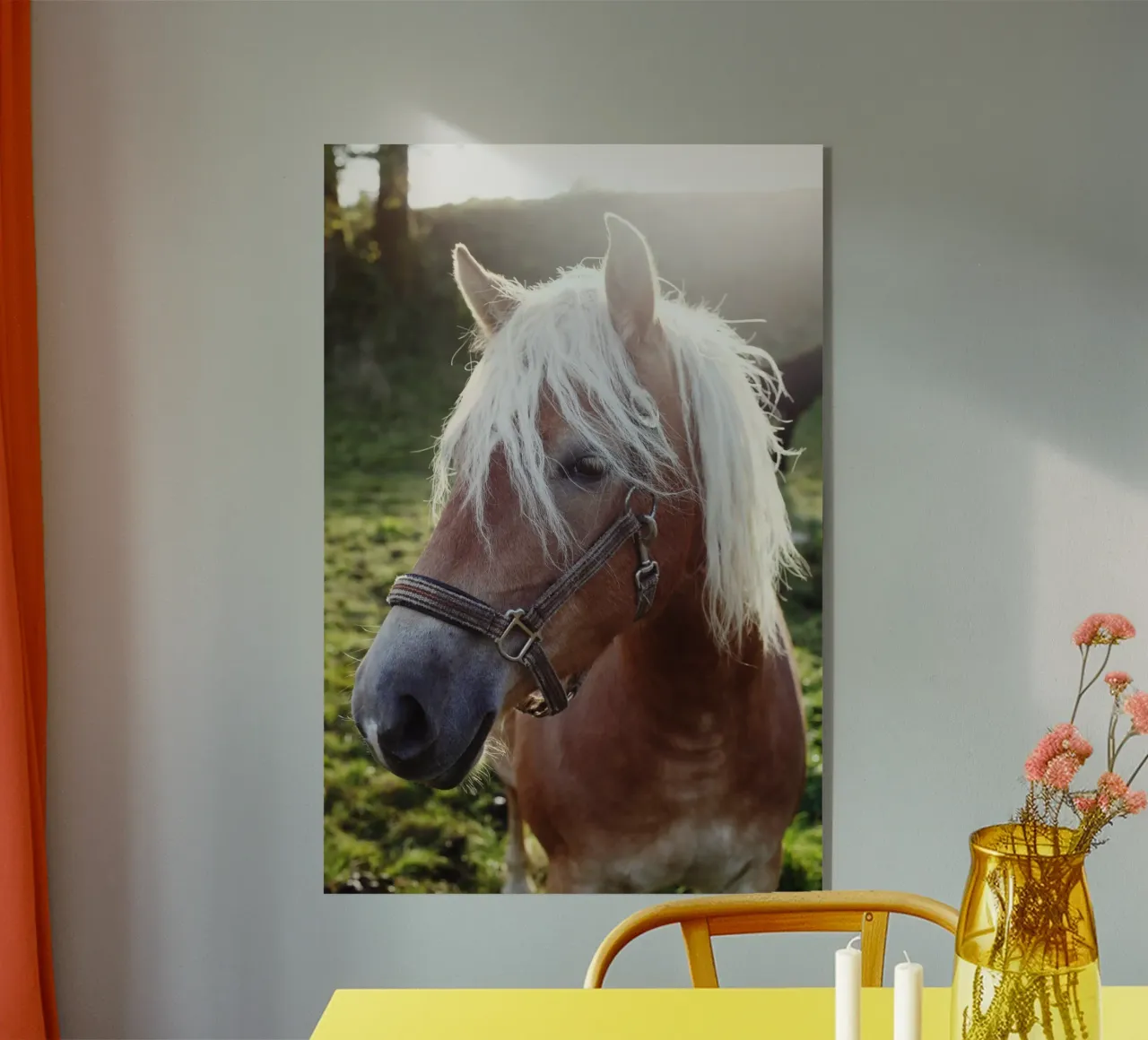 Cavalli d'amore, Baviera, Alta Baviera, Aying plexiglass da fotokunst