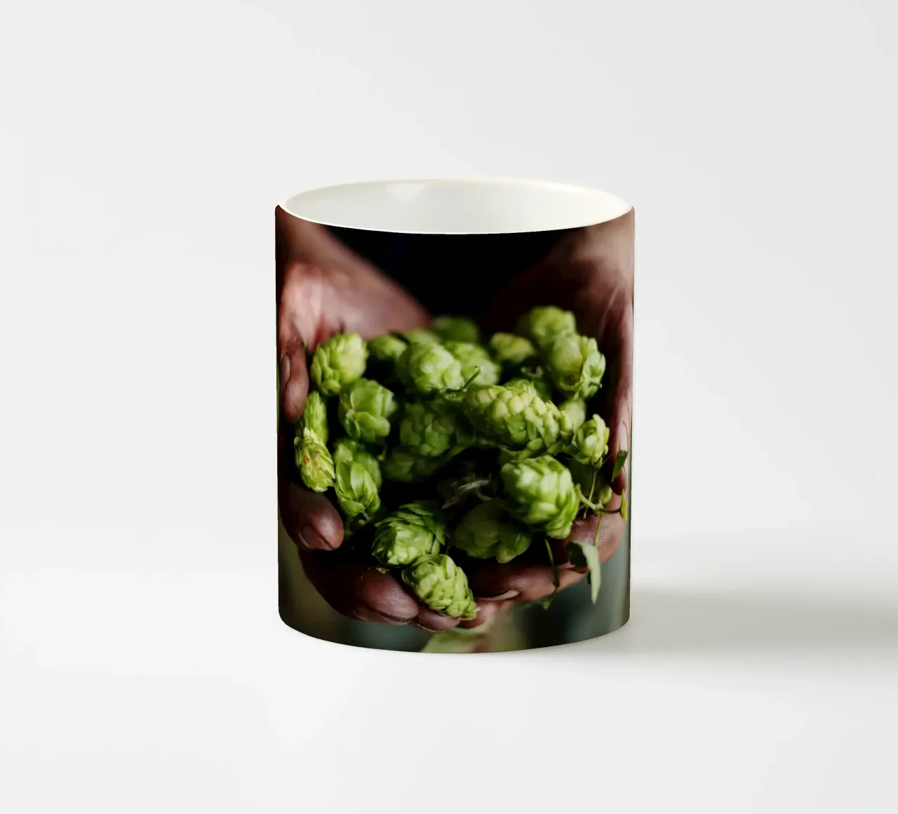 Luppolo in mano, Baviera tazza in ceramica da Simon Koy